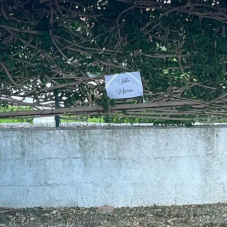 بيت للعطل Maria Sulla Di Marina Di Zambrone Nel La Quercia Mandaradoni