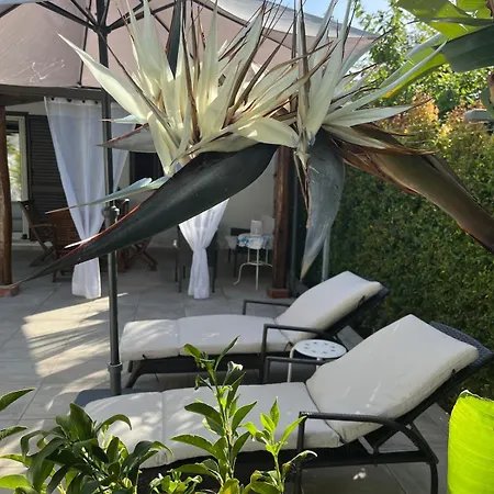 Casa de Férias Maria Sulla Di Marina Di Zambrone Nel La Quercia Mandaradoni