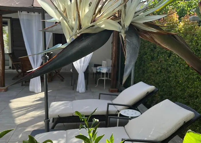 Maria Sulla Di Marina Di Zambrone Nel La Quercia Nyaraló Mandaradoni