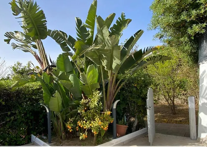 Maria Sulla Di Marina Di Zambrone Nel La Quercia בית נופש Mandaradoni